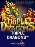 Triple Dragons game cover
